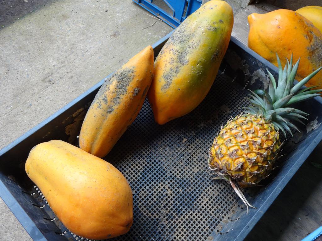 فندق هاتشيجوفي  Funamiso المظهر الخارجي الصورة